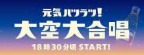 ドローンショー